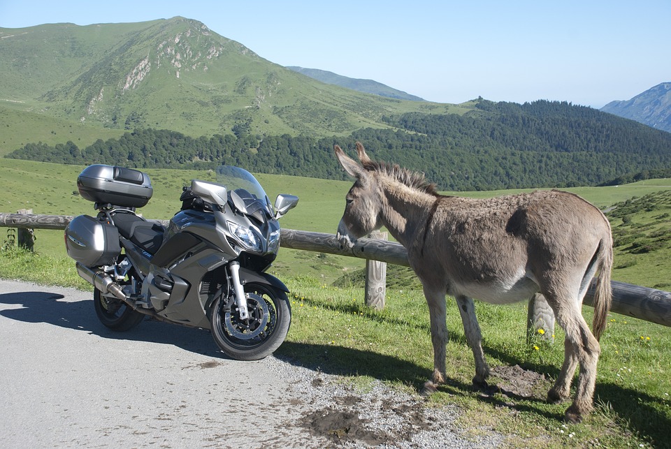 S motorkou máte spoustu zážitků. 